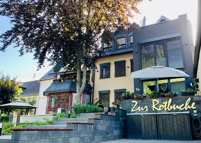 Zur Rotbuche